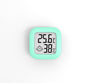Digital Temp-Humidity Meter
