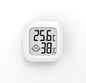 Digital Temp-Humidity Meter